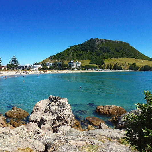 Inspiring Journeys: How Oceanbeach Oxygen Transformed Lives!