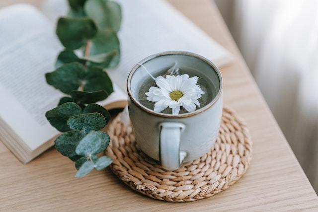 A cup of tea with a flower on a saucer next to a book and a plant during a Ocean Beach Oxygen wellness consultation.